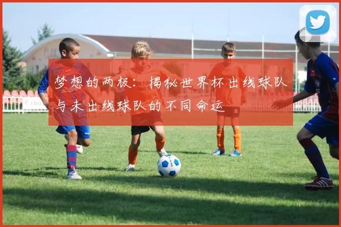 梦想的两极:揭秘世界杯出线球队与未出线球队的不同命运