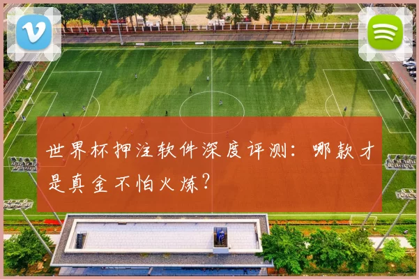 世界杯押注软件深度评测:哪款才是真金不怕火炼?