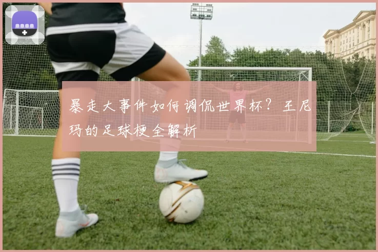暴走大事件如何调侃世界杯?王尼玛的足球梗全解析