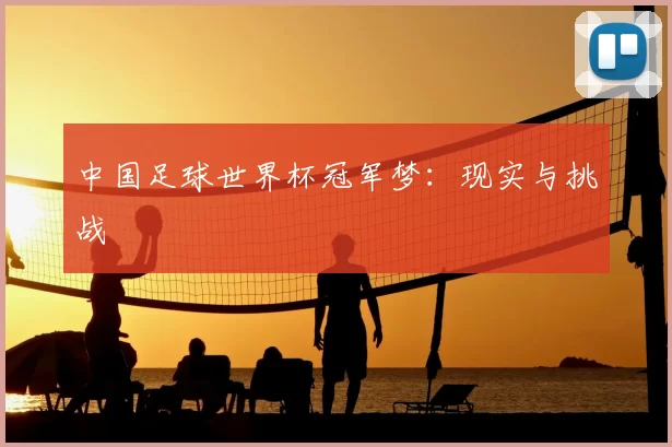 中国足球世界杯冠军梦：现实与挑战