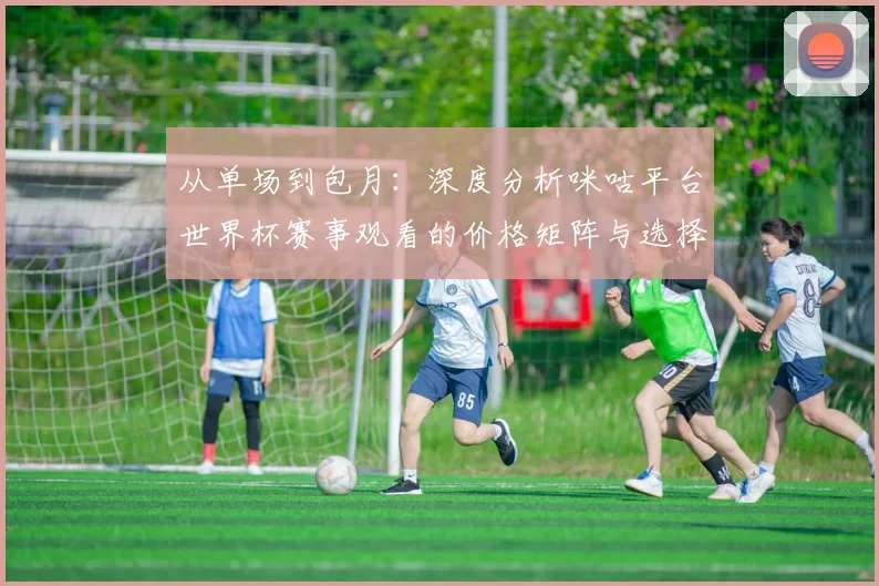 从单场到包月：深度分析咪咕平台世界杯赛事观看的价格矩阵与选择策略