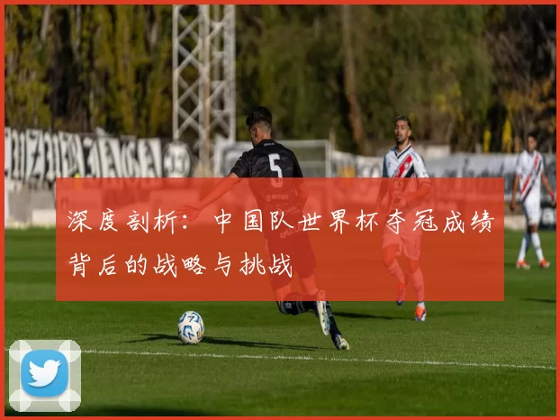 深度剖析：中国队世界杯夺冠成绩背后的战略与挑战