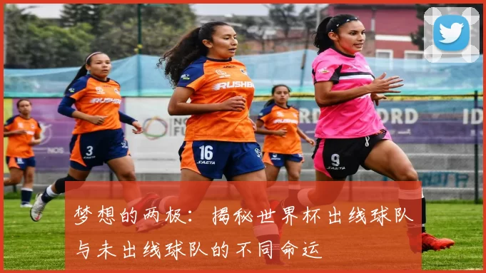 梦想的两极：揭秘世界杯出线球队与未出线球队的不同命运