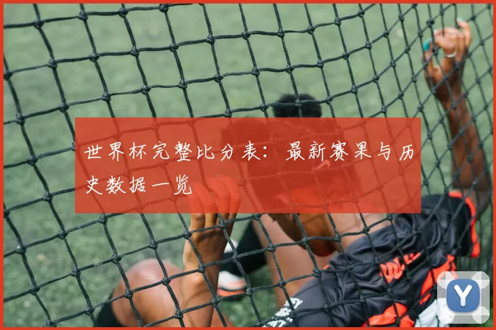 世界杯完整比分表:最新赛果与历史数据一览
