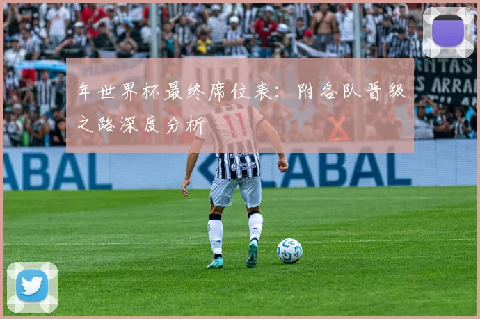 年世界杯最终席位表:附各队晋级之路深度分析